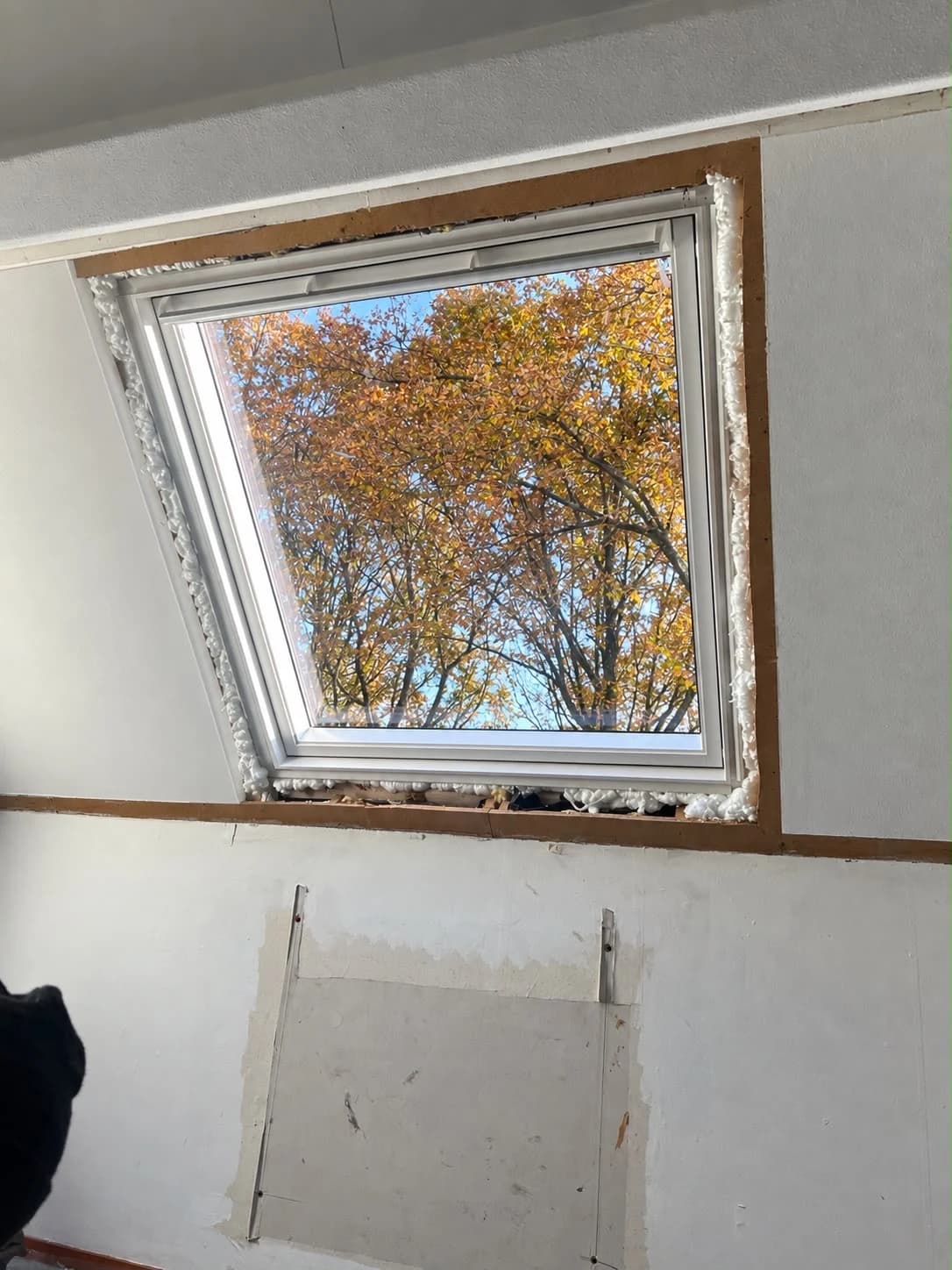 VELUX dakraam met zichtbare montageranden, schuim langs de opening en bomen buiten